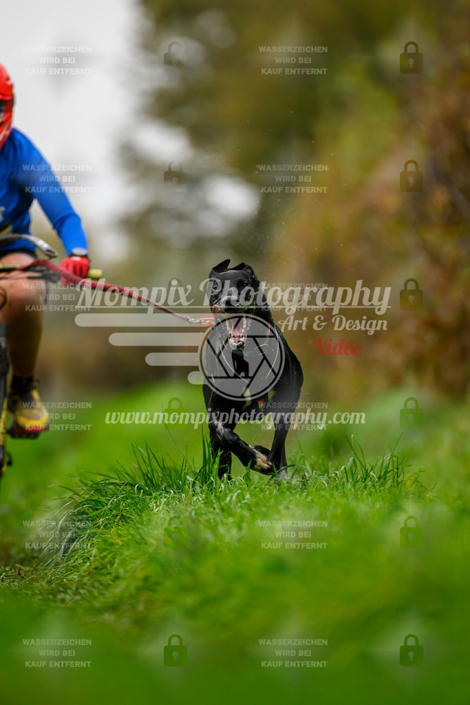 MompixPhotography_20TSB_E8_Bike-134 | PayLife