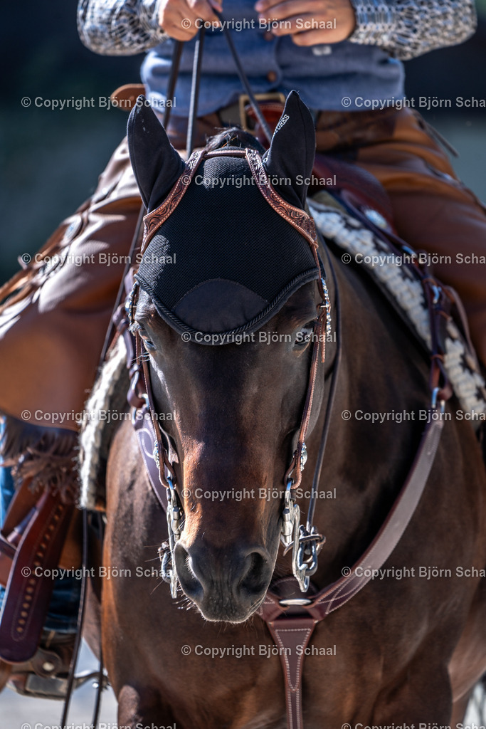 HOB09233 | BS-foto