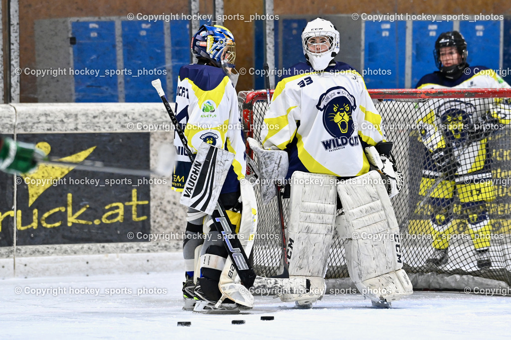 Wildcats Paternion vs. Lady Hawks  | #24 Eisendle Alexandra Wildcats Paternion, #33 Oberauner Marianne Wildcats Paternion, Wildcats Paternion vs. Lady Hawks , Wildcats Paternion vs. Lady Hawks  am 27.01.2025 in Spittal an der Drau (Eissportzentrum Spittal), Austria, (Photo by Bernd Stefan)