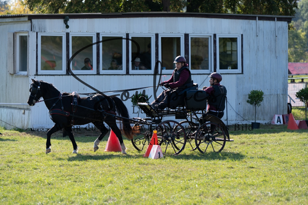 A7V04333 | Pferdefotograf