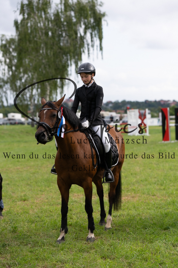 A7V03903 | Pferdefotograf