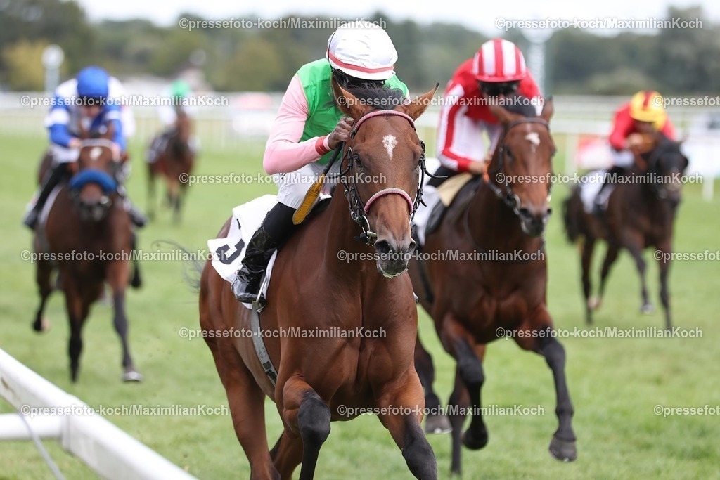 BB03092599006 | Gostam siegt unter Eduardo Pedroza im 152. Renate und Albrecht Woeste-Zukunftsrennen, Gr.3 am 03.09.2025 Renntag in Baden-Baden. Copyright by Marc Ruehl - Veroeffentlichung nur gegen Honorar (zzgl.MwSt), Namensnennung und Beleg, Bank Routing Number: BIC GENODED1PAF, Bank Account Number: IBAN DE04 3706 2600 1201 6180 17, Steuer-Nr.: 203/5266/0306, Ust_Id_Nr.: De 122081417, Zur Gaulshuette 29, 50181 Bedburg, Phone: +49-(0)2272-83351, www.marcruehl.com, info@marcruehl.com, No Model Release, Abtretung von Persoenlichkeitsrechten der abgebildeten Person/Personen liegen nicht vor. Speichern in Bilddatenbanken oder Vervielfaeltigung ist ohne schriftliche Genehmigung nicht gestattet.