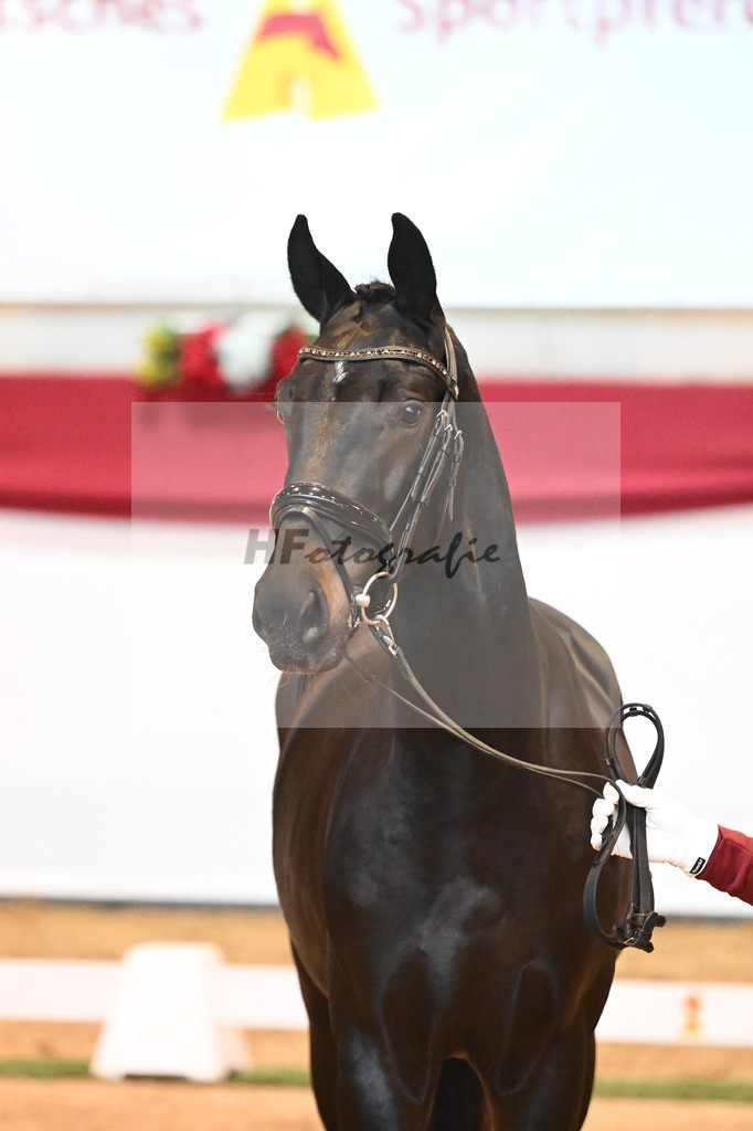 Kat-Nr. 50 Swarovski x Fuerst Wilhelm_Zellhuber_43231846 | hf-fotografie - Realisiert mit Pictrs.com