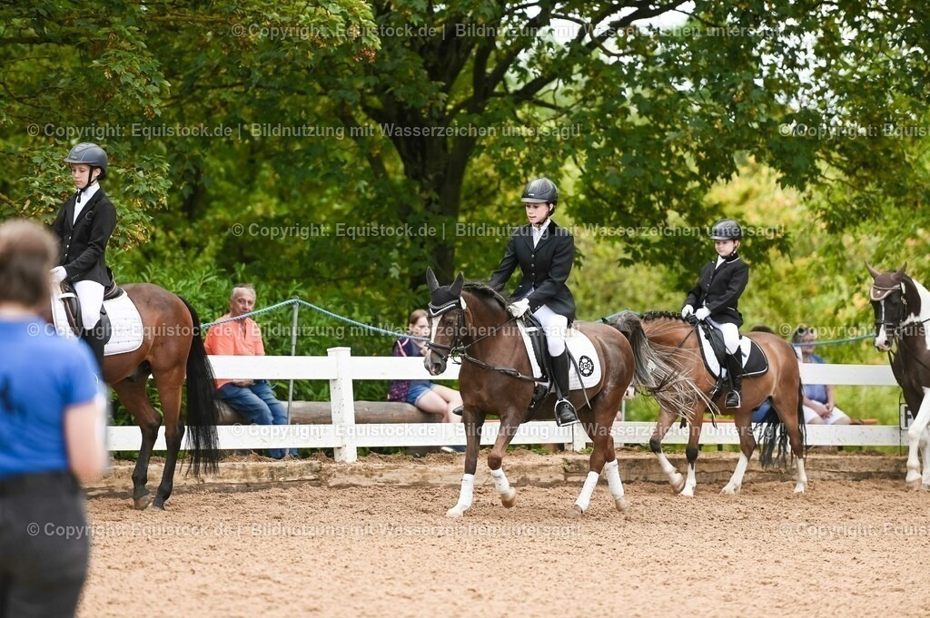 20230716_10-2_Reiter-WB Schritt - Trab - Galopp_0083 | equistock