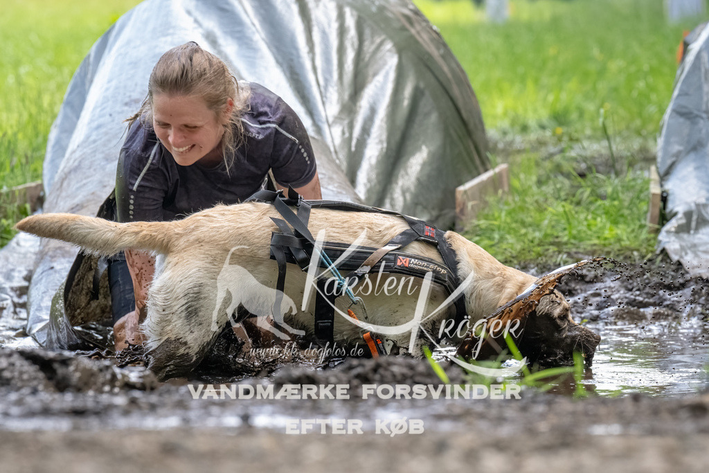 1145_ZZ94457-Bearbeitet | kk-dogfotos