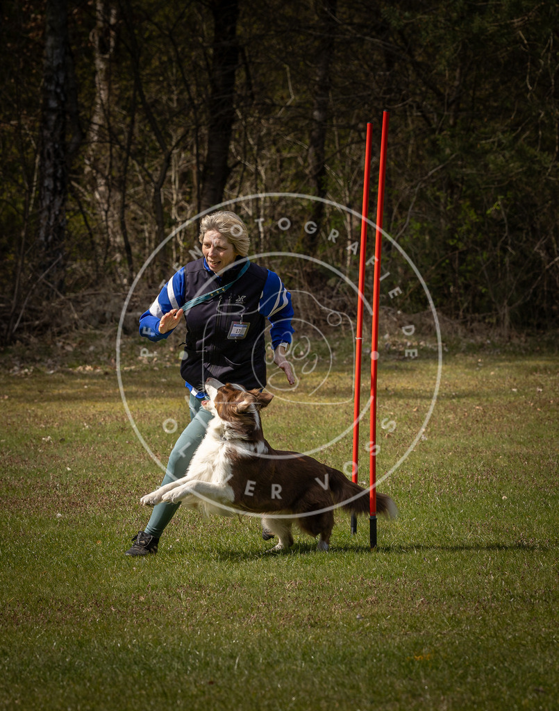 Pfotenfotografie_DV3A4197 | Hundefotografie, Tierfotograf, Pfotenfotografie, Fotoshooting Hund, Hunde Portrait, Hundesport, Hundeportraits, Heideshooting, Hunde, Sportfotograf, Hundefotograf, Turnierhundsport, THS,  - Realisiert mit Pictrs.com