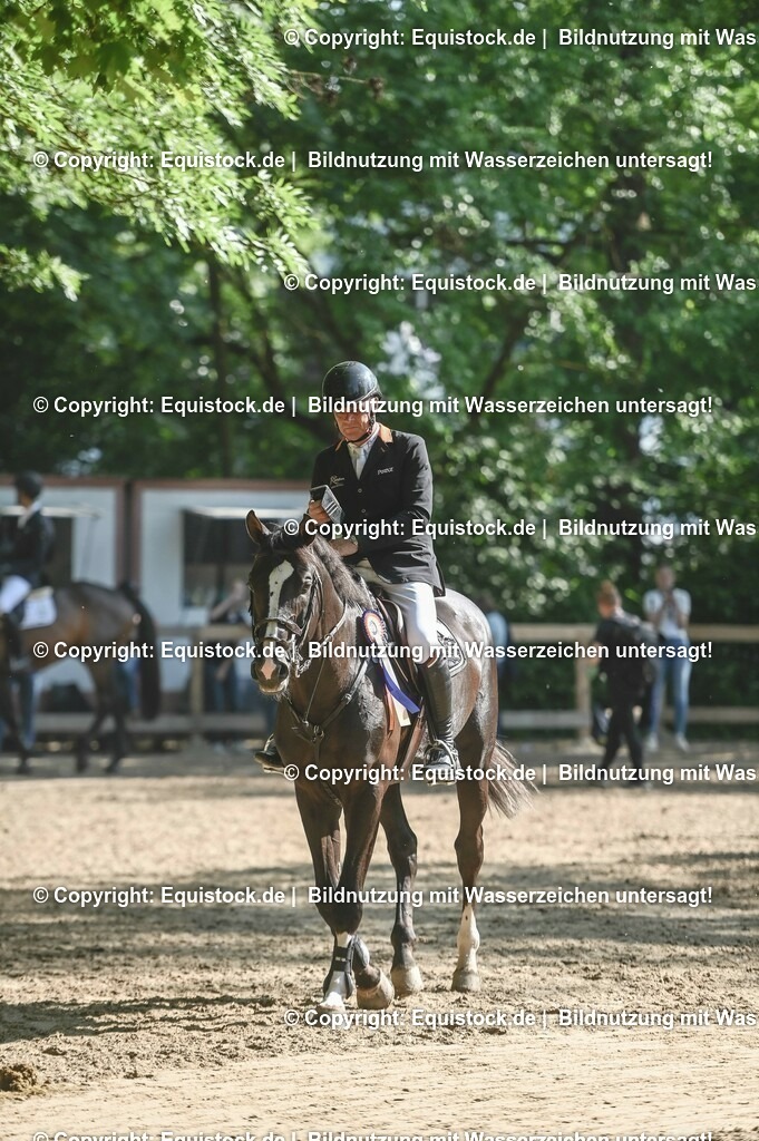 D78_3634 | equistock