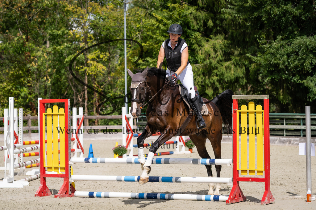 A7V07344 | Turnier/Reitfotograf
