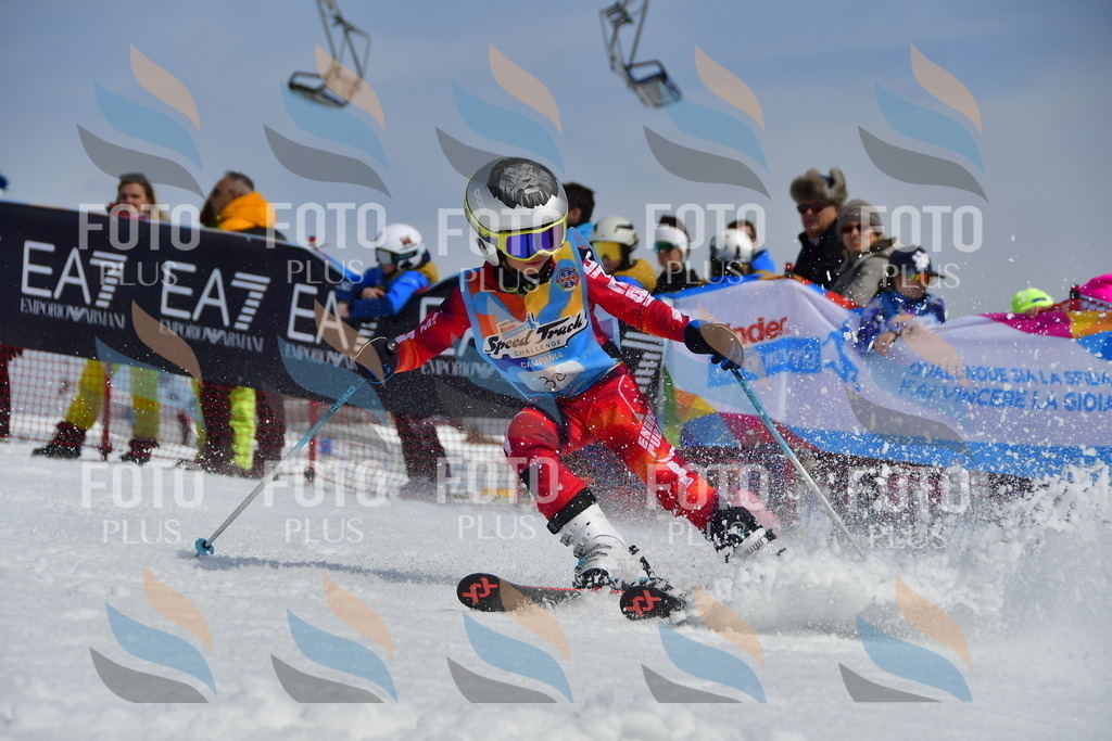 _DSC6870 | holidayphoto