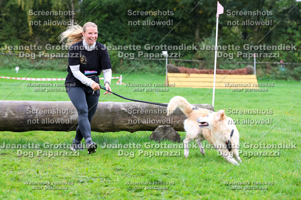 Dog Paparazzi -  SD1026-1895 | Dog Paparazzi Jeanette Grottendiek Fotografie & Videografie - Realisiert mit Pictrs.com