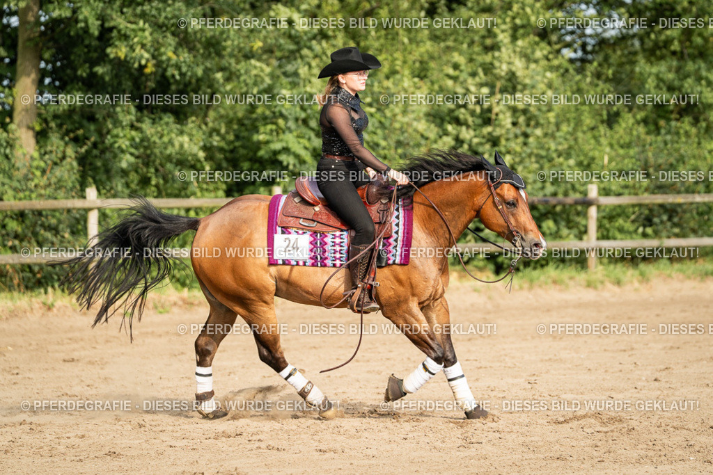 DSC05377 | Pferdegrafie