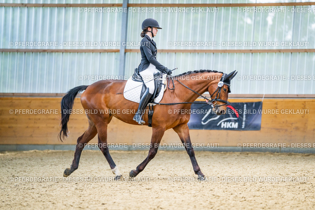 DSC04279 | Pferdegrafie