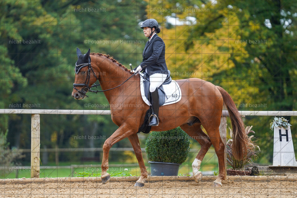 20221008-FAH01571 | Diessen am Ammersee, 2022, Dressur- und Springturnier, Reitsportbilder, Turnierfotografen Bayern, Pferdefotografen, Fotoagentur Herrmann, Turnierbilder