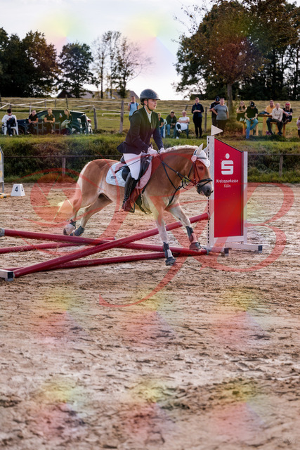 2026_10_03_Siefer-Hof_145444_Z81_34765553 | Professionelle Reitsport-, Turnier- und Eventfotografie von Robert Broda. Galerien mit ausgewählten und bearbeiteten Bildern direkt online ansehen und bestellen.