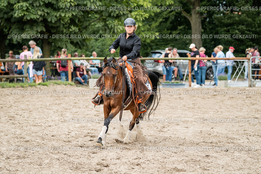 DSC01968 | Pferdegrafie