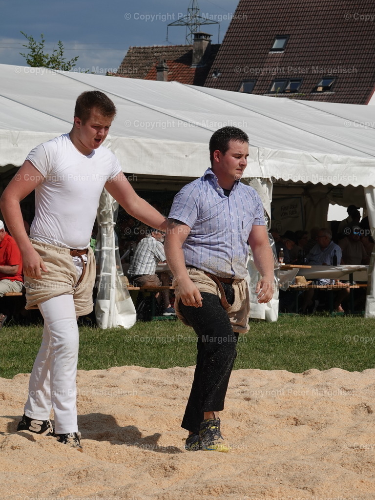 DSC05172 | Schwingen - Realisiert mit Pictrs.com