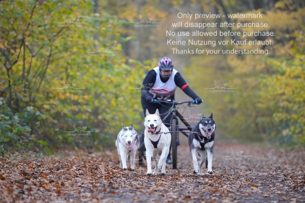 Rigs4bis8So-59 | stephaniefillaphotographie - Realisiert mit Pictrs.com