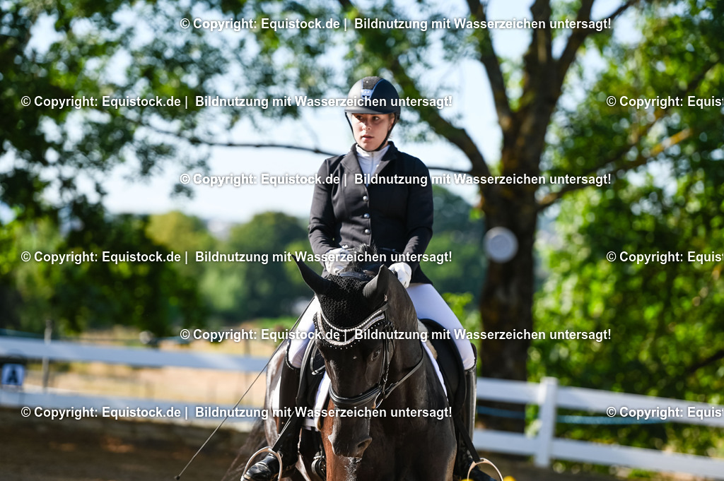 20230715_06_Dressurpferdeprfg. Kl.A_0085 | equistock
