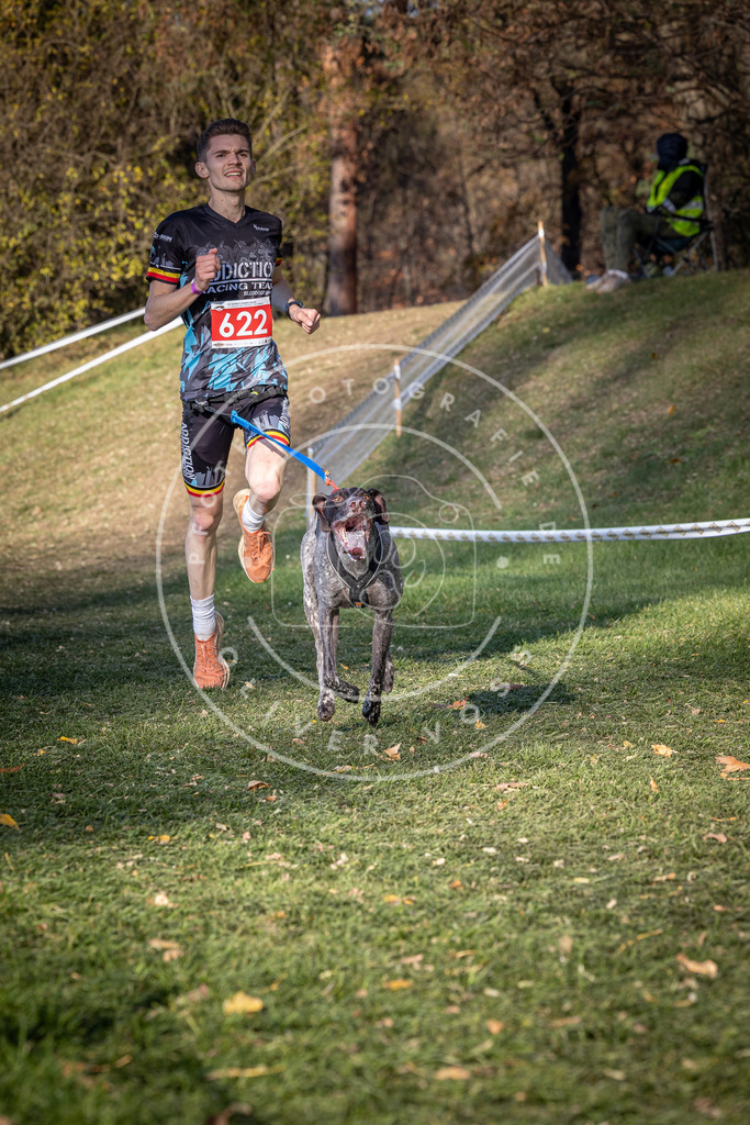 CaniXpix_0L8A8774 | Hundefotografie, Tierfotograf, Pfotenfotografie, Fotoshooting Hund, Hunde Portrait, Hundesport, Hundeportraits, Heideshooting, Hunde, Sportfotograf, Hundefotograf, Turnierhundsport, THS,  - Realisiert mit Pictrs.com
