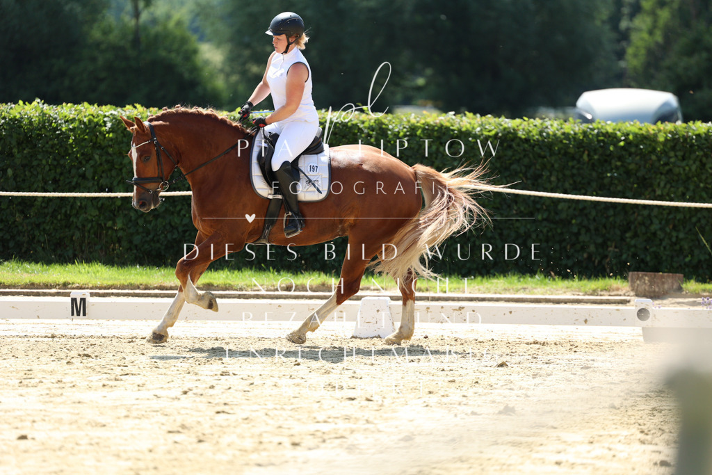 IMGM0902 | pl-fotografie