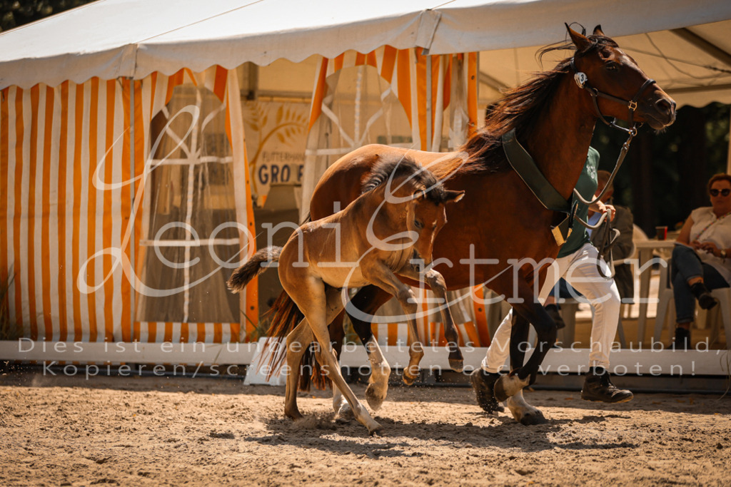 03.DoAB00083 | Leoni Ertmer Photography - Realisiert mit Pictrs.com