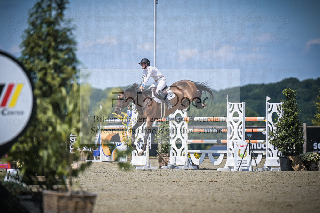 DOS_3764 | Entdecke hochwertige Reitturnierfotos von Foto Oger. Professionell, emotional und authentisch – jetzt Lieblingsmomente im Shop bestellen.Deutschlandweite Turnierfotografie. - Realisiert mit Pictrs.com
