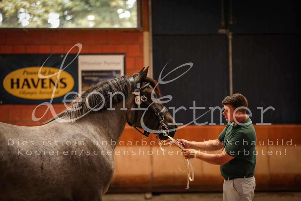 SaFL00323 | Leoni Ertmer Photography - Realisiert mit Pictrs.com