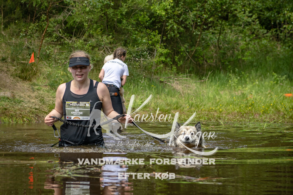 1241DKK993274 | kk-dogfotos
