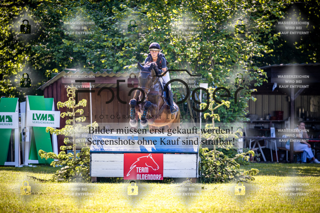 2026-05 - Melle Oldendorf-3-0029 | Entdecke hochwertige Reitturnierfotos von Foto Oger. Professionell, emotional und authentisch – jetzt Lieblingsmomente im Shop bestellen.Deutschlandweite Turnierfotografie. - Realisiert mit Pictrs.com