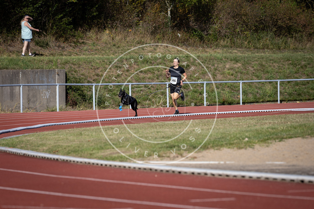 Pfotenfotografie_DV3A8982 | Hundefotografie, Tierfotograf, Pfotenfotografie, Fotoshooting Hund, Hunde Portrait, Hundesport, Hundeportraits, Heideshooting, Hunde, Sportfotograf, Hundefotograf, Turnierhundsport, THS,  - Realisiert mit Pictrs.com