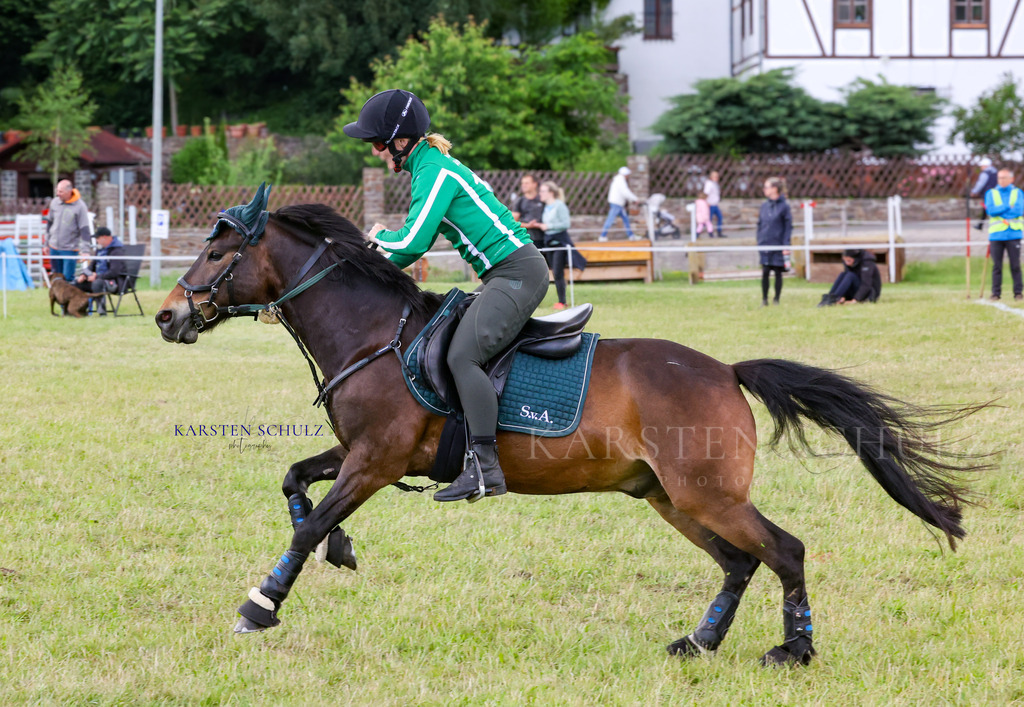 1B3A4475 | Reitsport Reiten