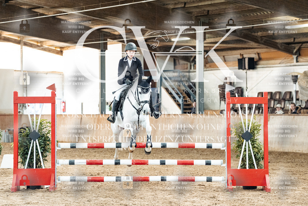 CK904619 | Turnierfotografie Pferdefotografie Trier Rheinland-Pfalz Pferdesport Reitsport Tierfotografie Sportfotografie Pferdevideo Pferdevideografie Equestrianvideography equestrianphotography  - Realized with Pictrs.com