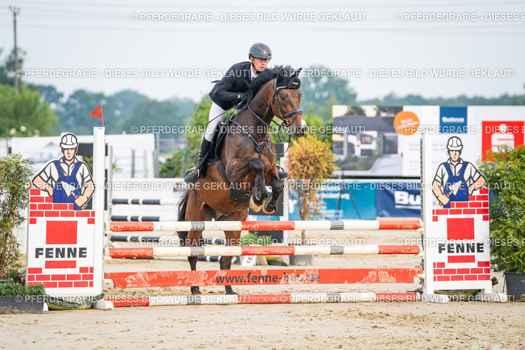 DSC08672 | Pferdegrafie