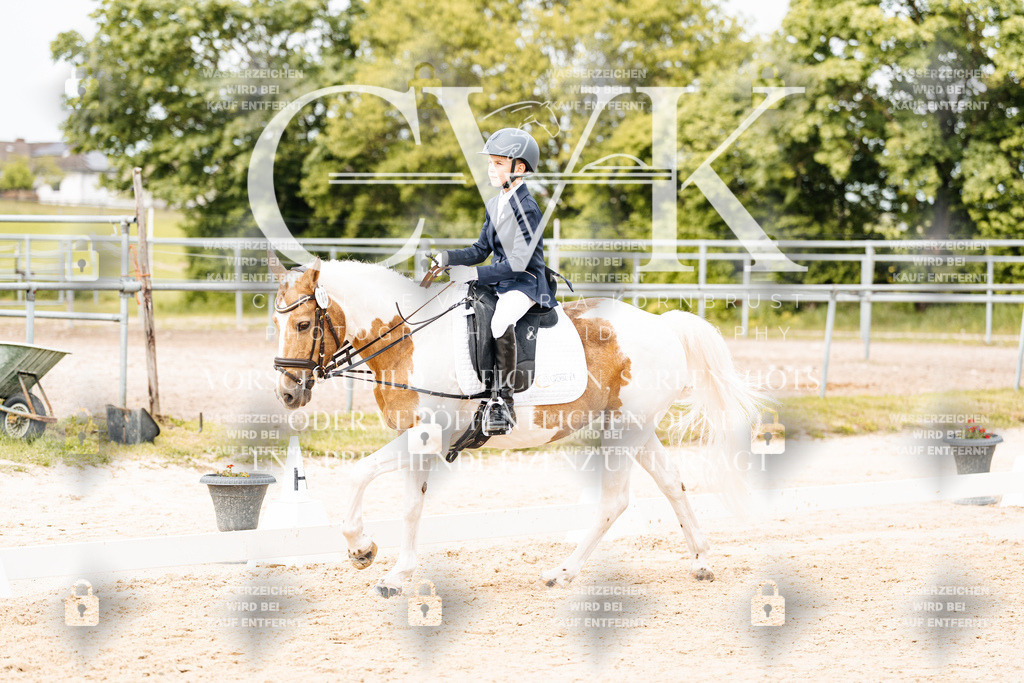CK904626 | Turnierfotografie Pferdefotografie Trier Rheinland-Pfalz Pferdesport Reitsport Tierfotografie Sportfotografie Pferdevideo Pferdevideografie Equestrianvideography equestrianphotography  - Realisiert mit Pictrs.com