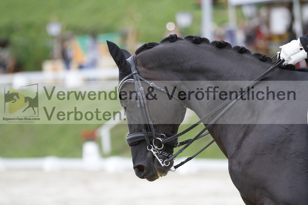 _MG_5299 | equestrian-live-com