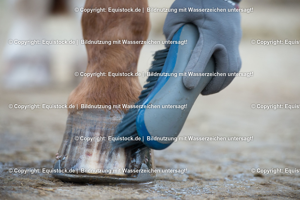 20171206_Huf_Waschen_Hartig_0001 | Foto: Thomas Hartig