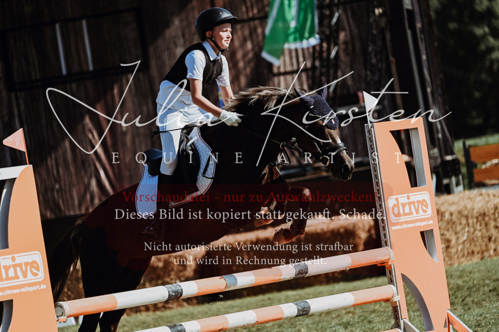 DSC_6914 | Pferde- und Turnierfotografie in Westsachsen. Pferdeportraits, Auftragszeichnungen und intuitive Kunst.