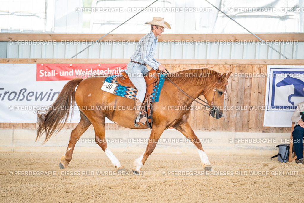 DSC02418 | Pferdegrafie