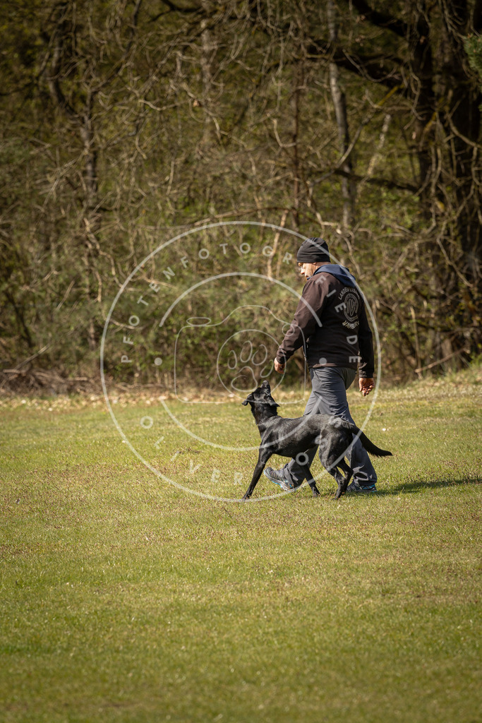 Pfotenfotografie_DV3A1273 | Hundefotografie, Tierfotograf, Pfotenfotografie, Fotoshooting Hund, Hunde Portrait, Hundesport, Hundeportraits, Heideshooting, Hunde, Sportfotograf, Hundefotograf, Turnierhundsport, THS,  - Realisiert mit Pictrs.com