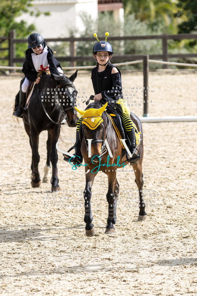 IMG_2727 | s-jay-photography - Realisiert mit Pictrs.com