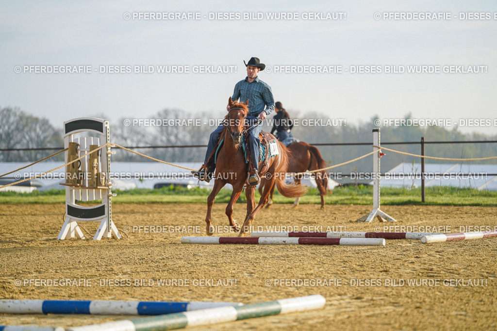 DSC09725 | Pferdegrafie