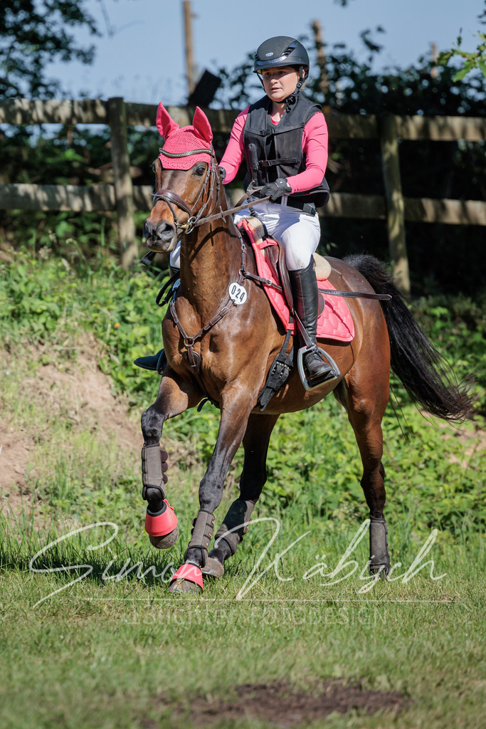 20260523-_3LI6871 | Tierfotografie Pferde, Hunde, Katzen, Haustiere.
Turnierfotografie Reitturniere, Reiten, Springreiten, Dressur in Hanau, dem Main-Kinzig-Kreis und dem Rhein-Main- Gebiet um Frankfurt