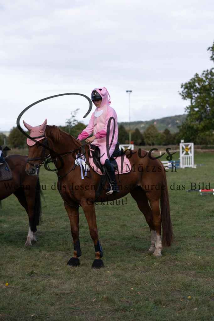 A7V06596 | Pferdefotograf