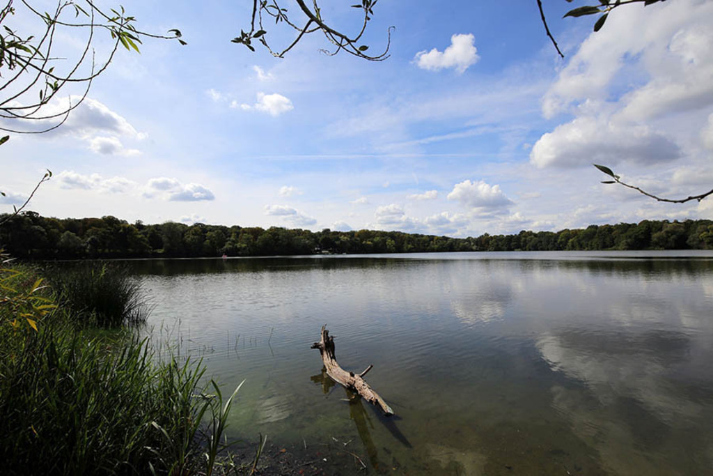 Foto: Leipzig - Auensee | Das Team hinter BILDLEXIKON LEIPZIG bündelt historische wie aktuelle Informationen über die Stadt Leipzig in Text und Bild auf einer Plattform und stellt diese der interessierten Öffentlichkeit zur Verfügung.