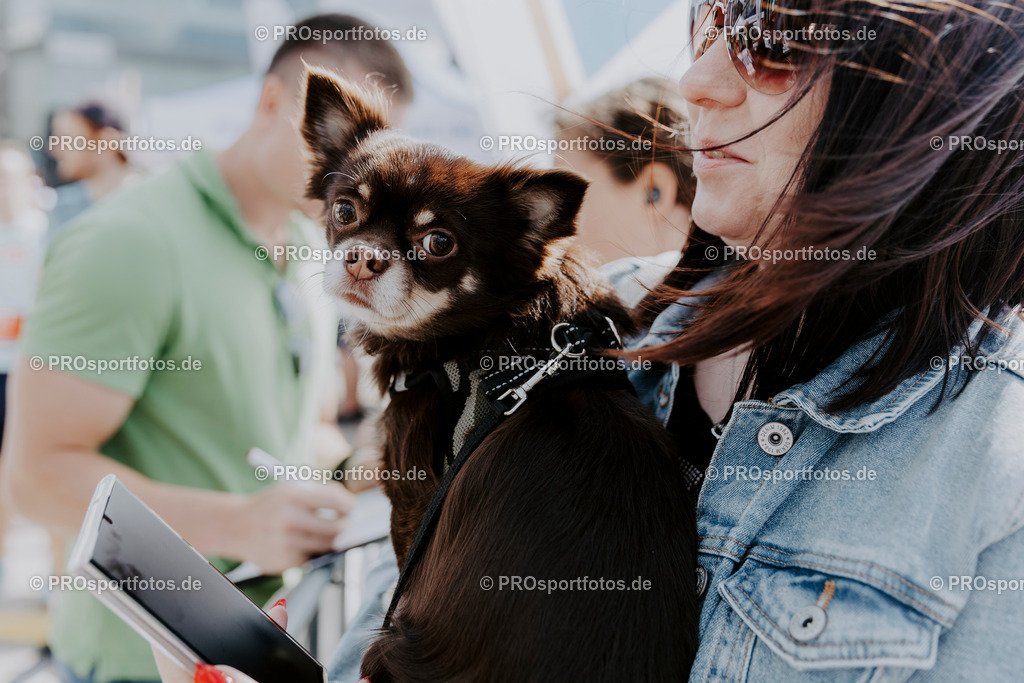 240825_Treppenlauf-492 | Professionelle Fotos Ihrer Laufsportveranstaltung.