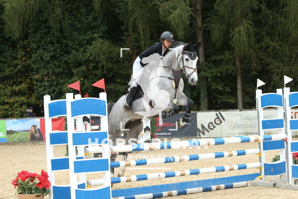 DL2Q5807 | Willkommen bei Brunnmayr - Design & Fotografie – Ihrem Spezialisten für Reitturniere und Pferdeveranstaltungen in Oberösterreich, Salzburg und Bayern! Seit über 17 Jahren sind wir leidenschaftlich dabei.