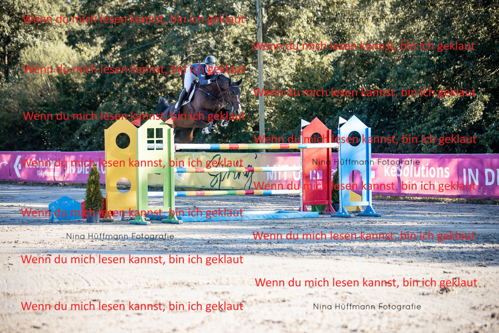 BK1A8782 | Turnierbilder Turnierfotos Nina Hüffmann Turnierfotografie Pferdefotografie Tierzeichnung Haustierzeichnung Pferdezeichnung Hundezeichnung Videograf  - Realisiert mit Pictrs.com