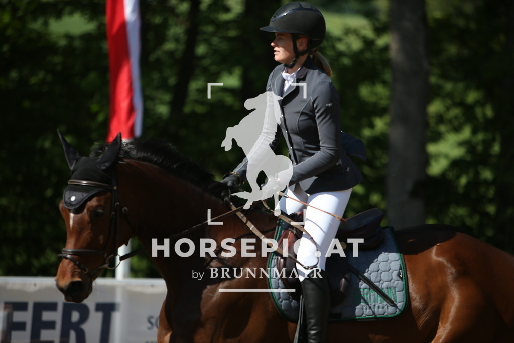 PP011108 | Willkommen bei Brunnmayr - Design & Fotografie – Ihrem Spezialisten für Reitturniere und Pferdeveranstaltungen in Oberösterreich, Salzburg und Bayern! Seit über 17 Jahren sind wir leidenschaftlich dabei.
