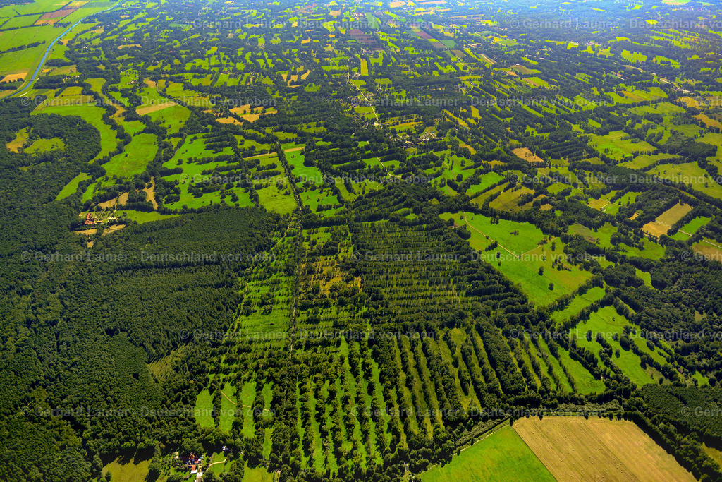 3637211 | LEIPE 25.08.2016 Strukturen auf landwirtschaftlichen Feldern  in Leipe im Spreewald im Bundesland Brandenburg, Deutschland // Structures on agricultural fields  in Leipe at Spreewald in the state Brandenburg, Germany Foto: Gerhard Launer