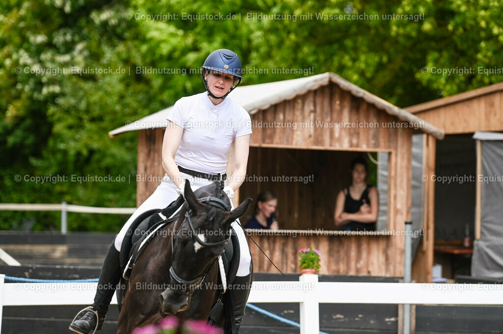 20230715_05_Dressurprüfung Kl.A++_0280 | equistock